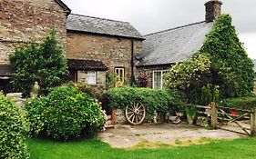 The Draen Bed&Breakfast
